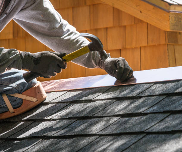 Best Roof Gutter Cleaning  in Mason Neck, VA